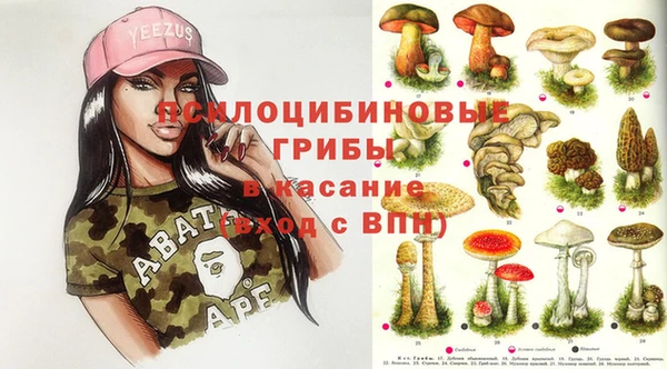 spice Армянск