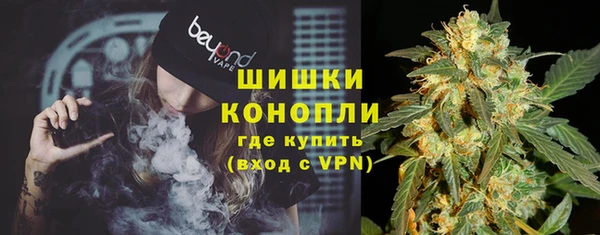 дживик Арсеньев