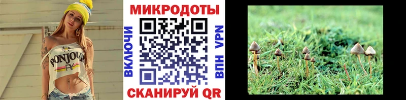Псилоцибиновые грибы MAGIC MUSHROOMS  где продают   Аркадак 